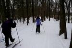 Cross country skiing (short video 3gp file)